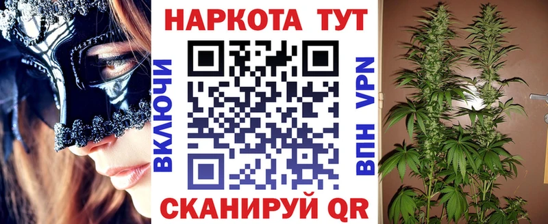 A PVP Будённовск