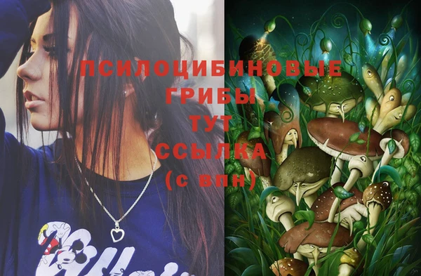 герыч Бородино