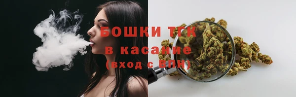 гидропоника Бугульма