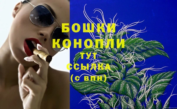 PSILOCYBIN Вязьма