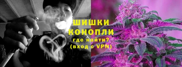 ПСИЛОЦИБИНОВЫЕ ГРИБЫ Бикин